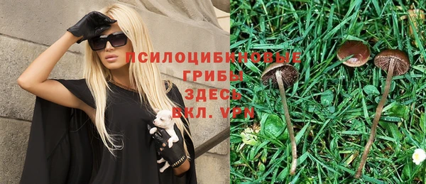 спайс Кинешма