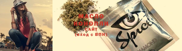 индика Киренск