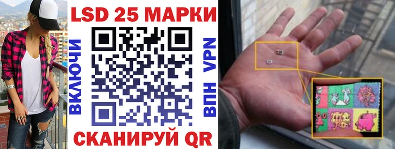 shop состав  где продают   Камень-на-Оби  Марки N-bome 1500мкг 
