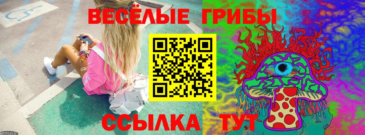 Псилоцибиновые грибы мухоморы Камень-на-Оби