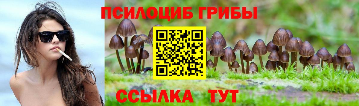Камень-на-Оби  Псилоцибиновые грибы Magic Shrooms  Псилоцибиновые грибы прущие грибы  Вход с VPN 