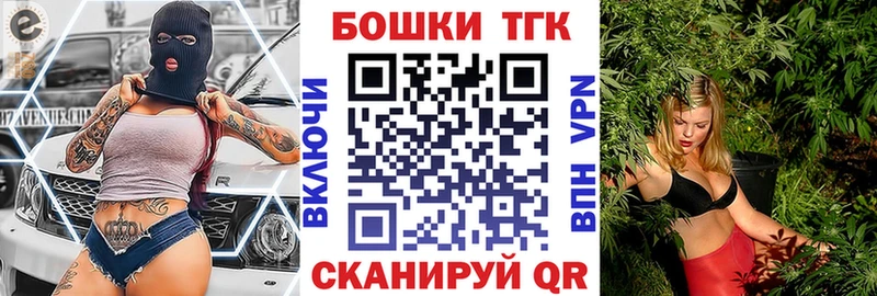 mega маркетплейс  где можно купить наркотик  Камень-на-Оби  Бошки марихуана сатива 